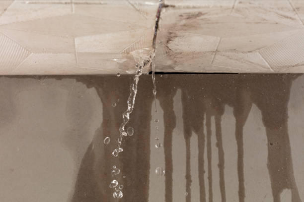 Professional Structural Drying technician working in Forest Hill, TX